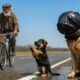 Old Man Stops After Puppy Begs for Help — You Won’t Believe This Rescue Story