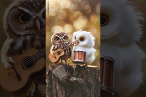 Owl playing music instrument 🎶🥁🎸 animals #ai #cute #lovely #joyful #viralvideo #viralshorts #music