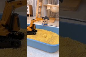 Owner Brought a JCB to Teach a Kitten 🚜🐱😂