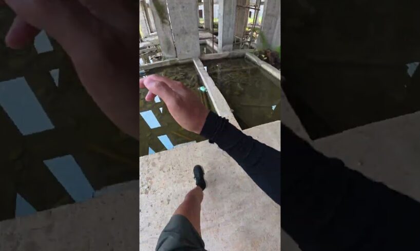 Parkour in the ruins is so cool!#stunt #parkour #extremesports #sports #pov #funny