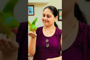 Parrot playing with mummy 🔥🦜#shorts #ytshorts #parrot #viral