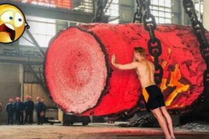 People Are Awesome 2019  || Amazing People  || Amazing Workers Compilation #1