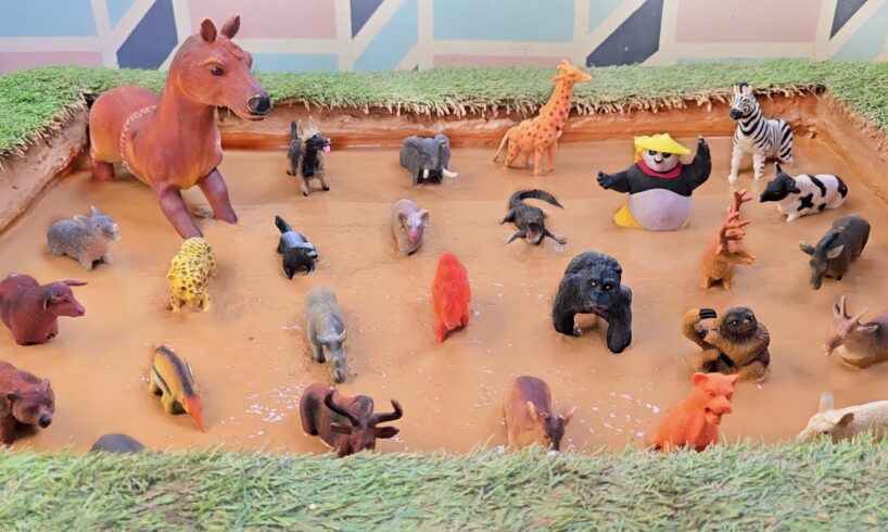 Play, Learn & Discover the Friendly Farm Animals and Forest Keystone Species