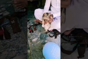 Playing With Beautiful Kittens #cat #catvideos #catvideos #animals #cuteanimal