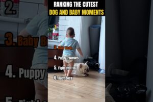 RANKING THE CUTEST DOG AND BABY MOMENTS! 👶🐶