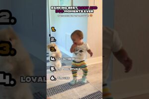 Ranking Best Baby and Dog Moments 🐶👶💖