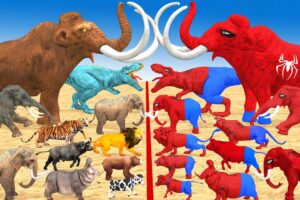 Red Spiderman Animals vs Prehistoric Mammals Mammoth Elephant vs Spiderman Mammoth Elephant vs T-Rex