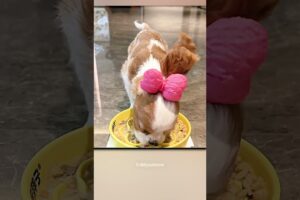 Rescue That Changed His Life