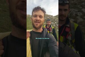 Rescuing An Injured Dog Leads To The Family They Didn’t Expect | The Dodo