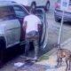 Security camera captures heartbreaking moment dog is abandoned