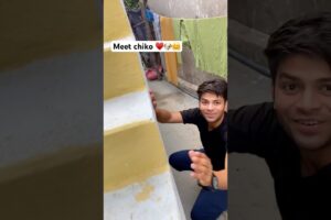 She is so healthy and energetic || puppy 🐶 || cute puppies and dogs || cuteness overloaded #puppy