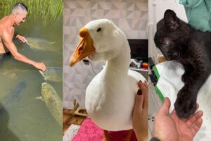 Sincere feelings#lovestory #animals #animalrescue #wildliferescue #rescue #cute #pets #funny #love