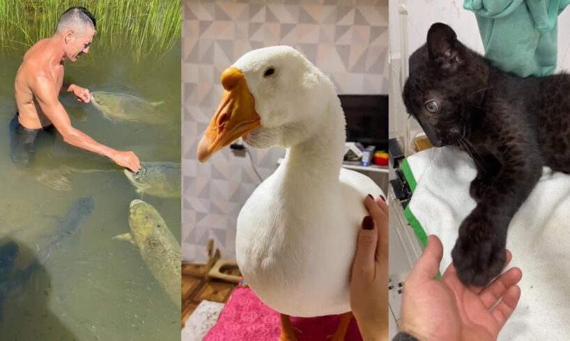 Sincere feelings#lovestory #animals #animalrescue #wildliferescue #rescue #cute #pets #funny #love