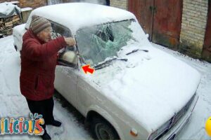 TOTAL IDIOTS AT WORK | Instant Regret Fails Compilation 2026 | Best fail of the week😂 #101