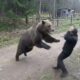 Terrifying Bear Encounters That Will Leave You Shaken | Real Survival Moments Caught on Camera