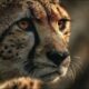 The Fastest Animal on Earth: Mother Cheetah (Full Documentary | HD)