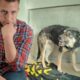 The Most Misunderstood DOG at the Shelter, Until I Discover this…