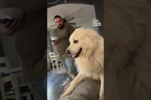 The Top 15 Fails of May 2023