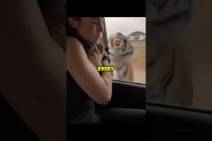 This Is Why Animal Rescue Matters #trend