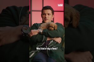 Tom Holland cuddling puppies 🐶🐶🐶