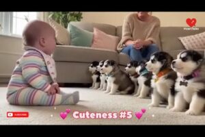 Try Not To Laugh | Cute Baby & Husky Howling Battle - Cutest Puppy Reaction Momenets Compilation!🇺🇸😂