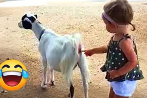 Try Not to Laugh Challenge #3 🤣 Best Fails of the Week