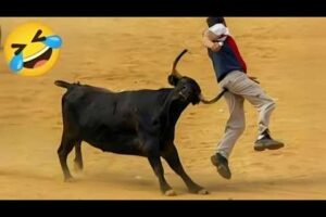 Ultimate Best Fails of the Week | Try Not To Laugh Challenge 🤣