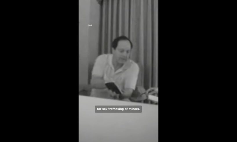 Video shows Epstein's butler selling 'little black book'