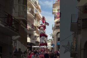 What were they thinking? Best of the Week