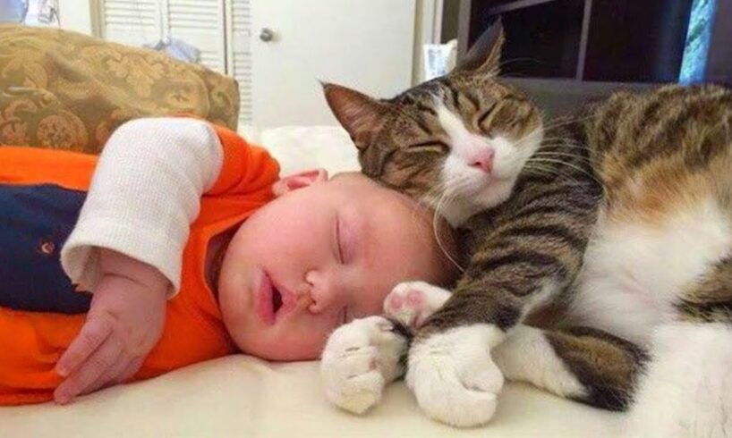 When your cat is the best babysitter 👶❤️🐱 Cute cats and little human