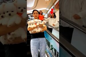 Who Wants This Cute Puppies? 😍🩵