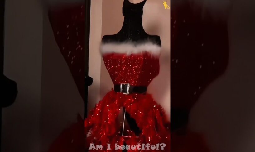 Who's playing hide-and-seek #cats #cat #funny #pets #animals #funnycats #shorts