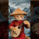 cute cat playing instrument 😍 #cute #cutepet #shortsviral #pet #cat #funny #reels #cuteanimals