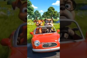 funny 🤣 cute puppies on drive car #cutepuppies #puppies #vairalshort #shortvideo #cartoon