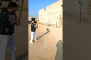 playing cricket with new jacky 🏏 #germanshepherd #newjacky #gsd #dog #gsdpuppy #trending #shorts