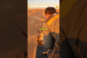 saving an animal is so 🥲#shorts #rescue #animals