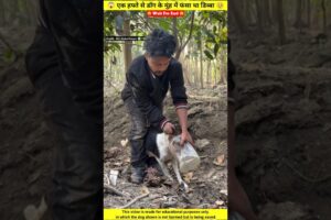 कई हफ्ते से डॉग के मूंह में फंसा था जानलेवा डिब्बा 🥹🙏