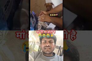 मां तो मां होती है।#maa #motivation #trending #sad #baby #animals .