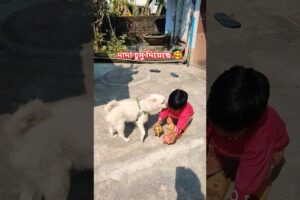 দাদা আমাকে চুমু দিল 🧿 🥰 #viral #funny #funnybaby #video #babyactivities #short #cute #dog #puppy