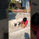 দাদা আমাকে চুমু দিল 🧿 🥰 #viral #funny #funnybaby #video #babyactivities #short #cute #dog #puppy