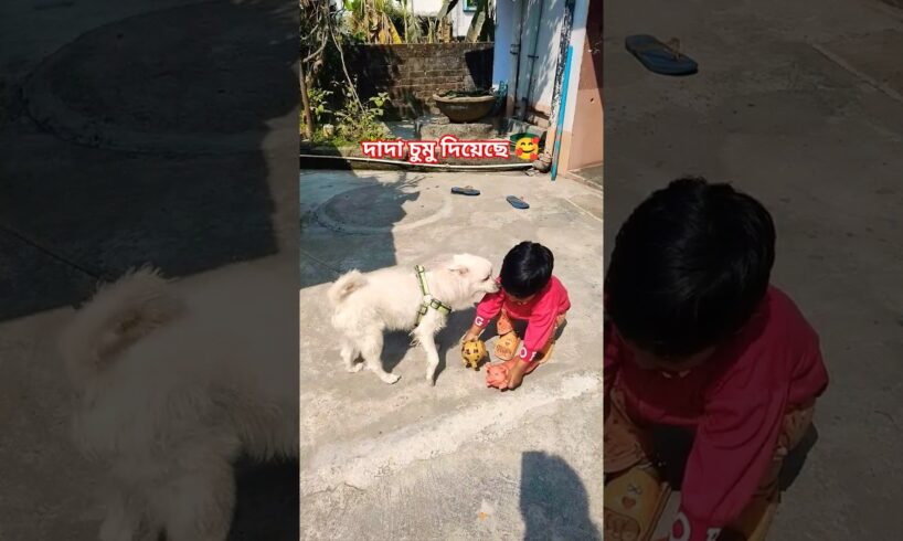 দাদা আমাকে চুমু দিল 🧿 🥰 #viral #funny #funnybaby #video #babyactivities #short #cute #dog #puppy