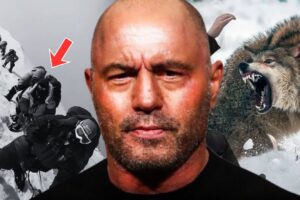 10 Most UNBELEVABLE Survival Stories told on Joe Rogan Podcast