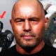 10 Most UNBELEVABLE Survival Stories told on Joe Rogan Podcast
