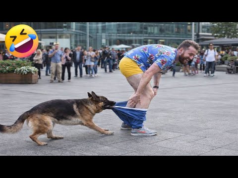 Best Fails of The Week: Funniest Fails Compilation: Funny Video | FailArmy part - 2