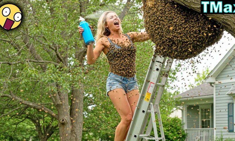 TOTAL IDIOTS AT WORK / Instant Regret Fails Compilation 2026 / Best Fails of the Week #291