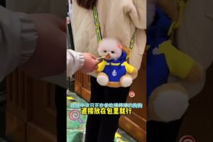 The love for these cute puppies grows day by day #dog #pet #cutedog #puppy #puppylove #cuteanimal