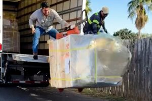 Best Fails of the Week | Try Not to Laugh Challenge!