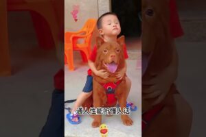 The love for these cute puppies grows day by day #dog #pet #cutedog #puppy #puppylove #cuteanimal