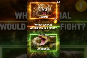 5 Brutal Animal Fights You Didn’t Expect 😳🔥