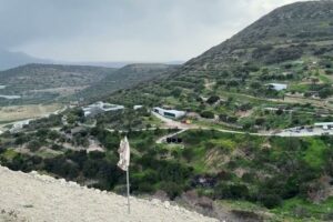 A Wild Crow Sitting on One of My Sheep - Takis Shelter